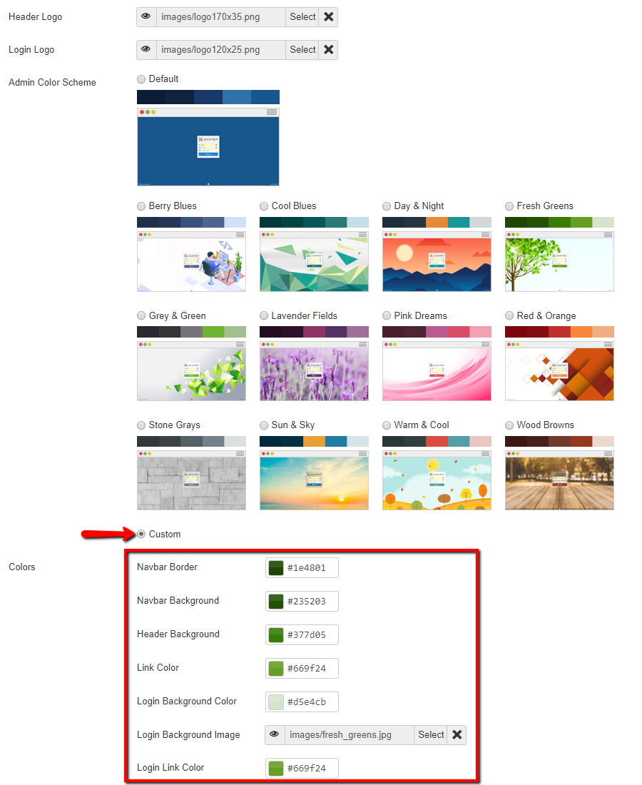 Admin Customizer - Color Custom