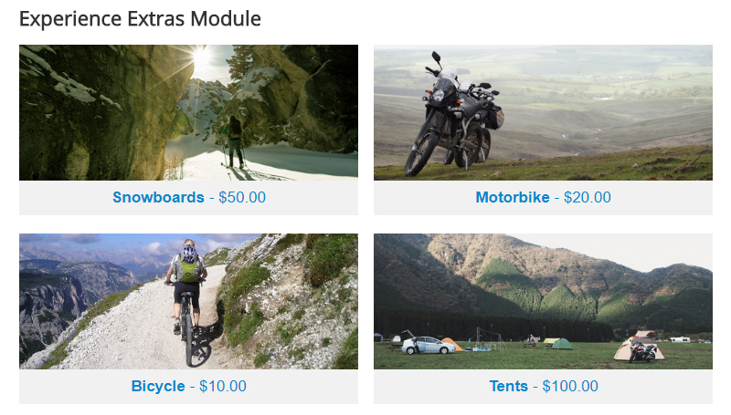 Experience (Tour & Activities)