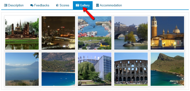 Experience (Tour & Activities)